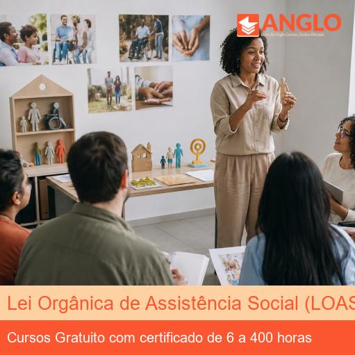 Lei Orgânica de Assistência Social (LOAS)